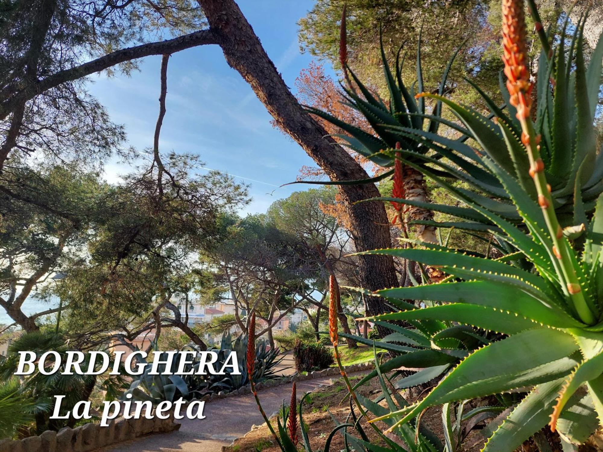 Emozioni Casa Vista Mare Bordighera Exterior photo