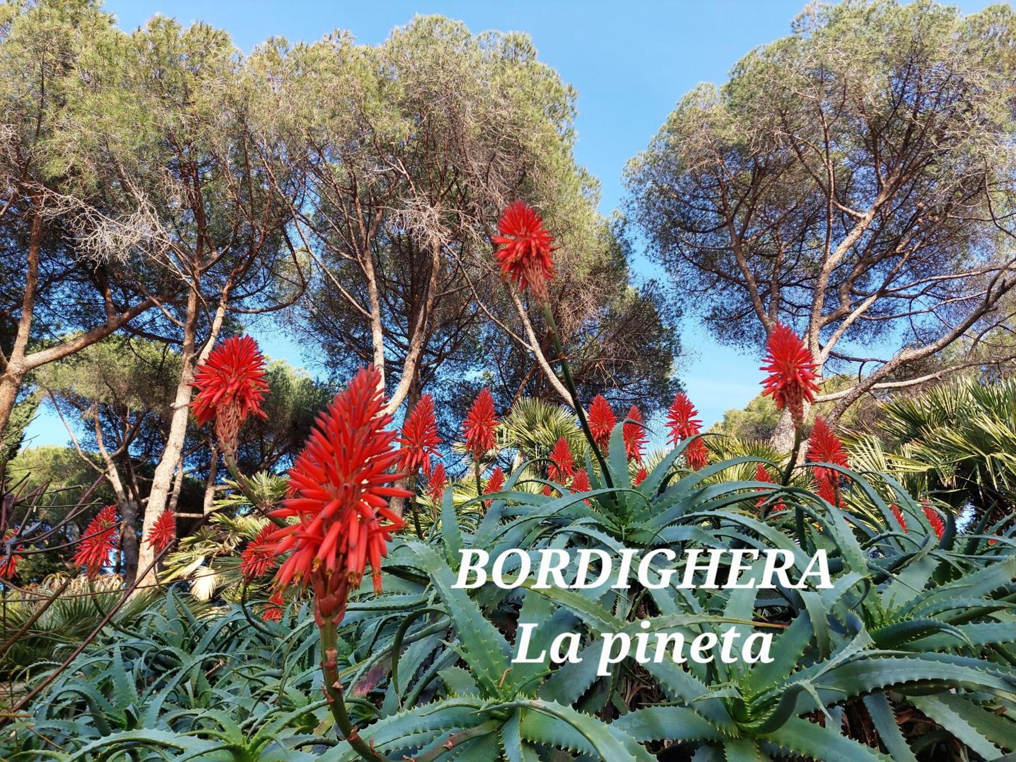 Emozioni Casa Vista Mare Bordighera Exterior photo